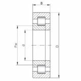 Rodamiento NUP224 E CX