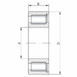 Rodamiento NCF29/500 V CX