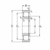 Rodamiento NUP224-E-M6 NKE