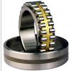 Bearing NNU4172MAW33