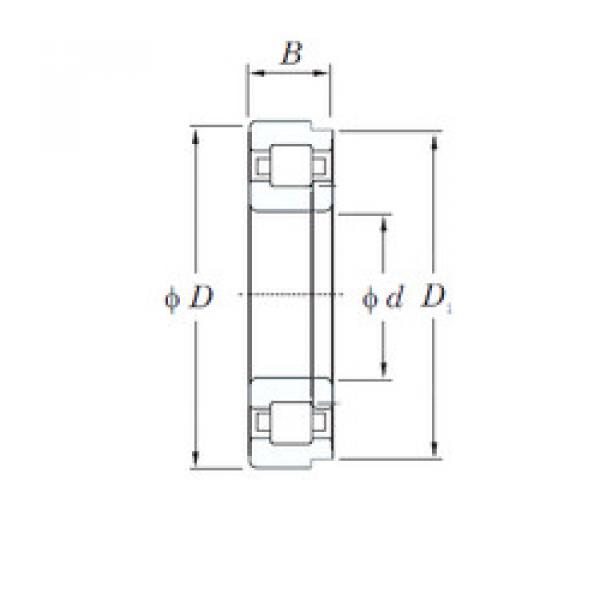 Rodamiento NUP2232R KOYO #1 image