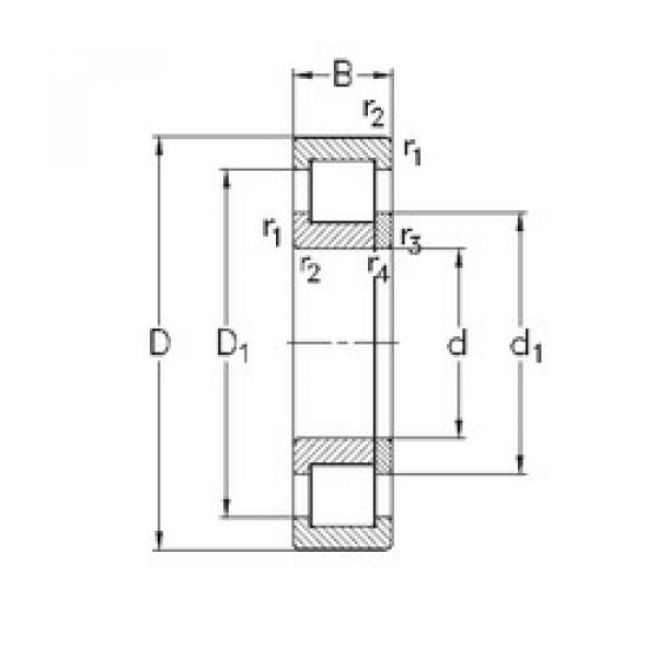 Rodamiento NUP224-E-MA6 NKE #1 image